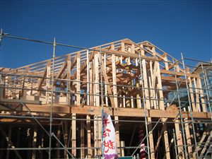 IMG_4429_R.jpg