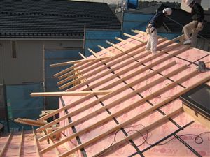 IMG_4442_R.jpg