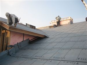 IMG_4456_R.jpg