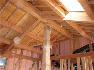 IMG_4542_R.jpg